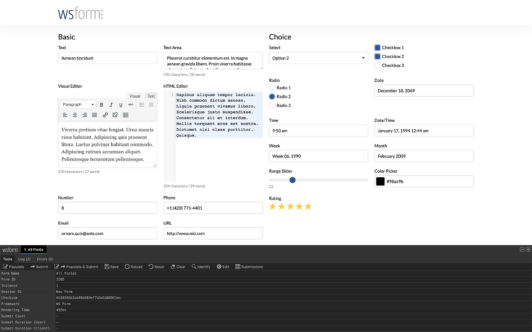 Learn More About the Debug Console