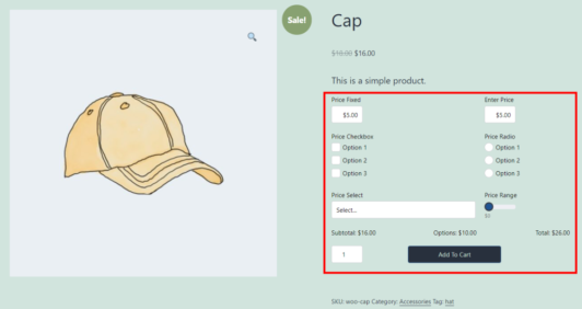 Customize WooCommerce Product Pages with WS Form