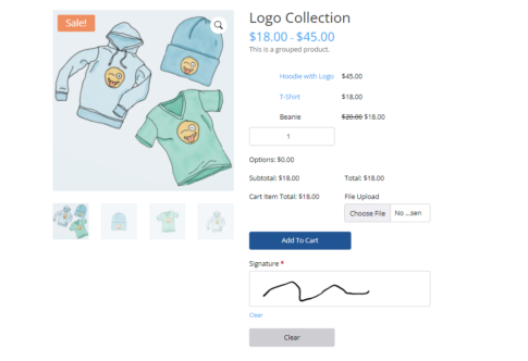 Customize WooCommerce Product Pages with WS Form