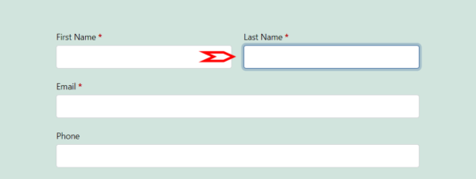 How to Use WS Form Accessibility Tools