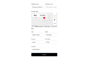 How to Add an Address Lookup on WordPress Forms - WS Form