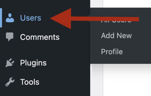 Push Form Submissions to a JetEngine Custom Content Type - WS Form
