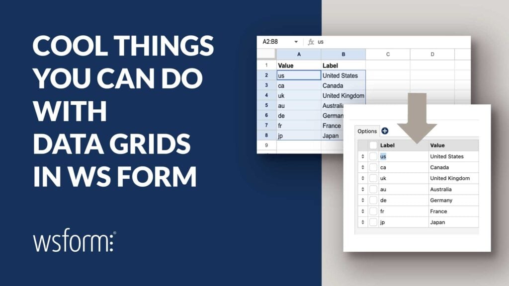 Cool Things You Can Do with Data Grids in WS Form