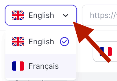 WS Form - Form Settings - Translation - Weglot - Visual Editor - Change Language