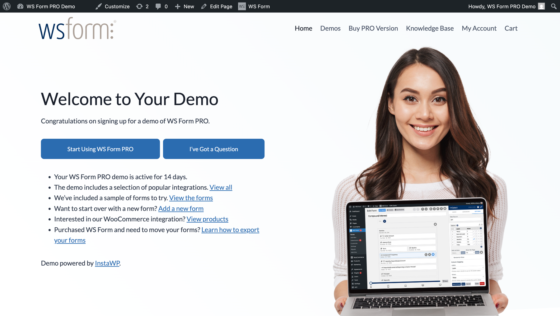 WS Form PRO Layout Editor